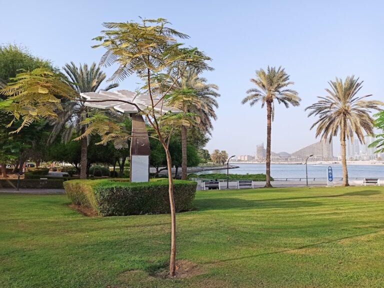 al-mamzar-beach-park-dubai_9