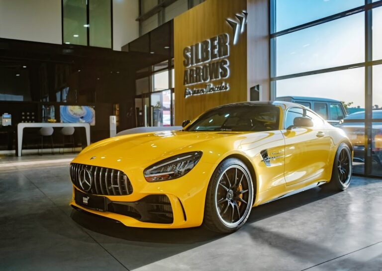 silberarrows-42237383