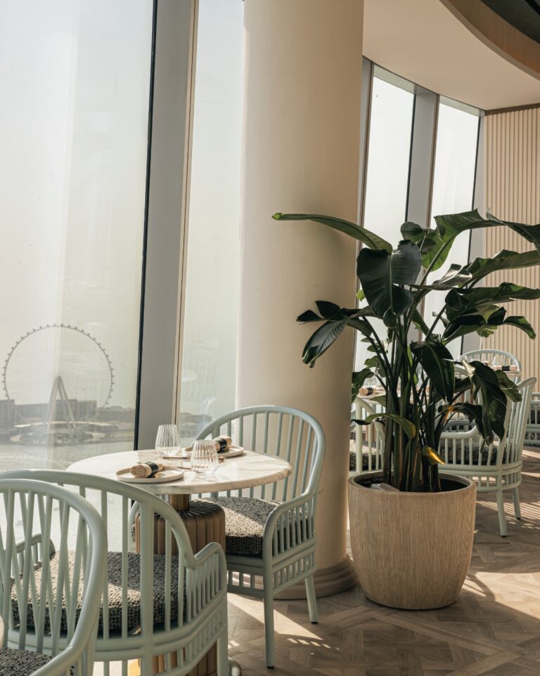 575634261_17868008481471222_5974218007804814293_n