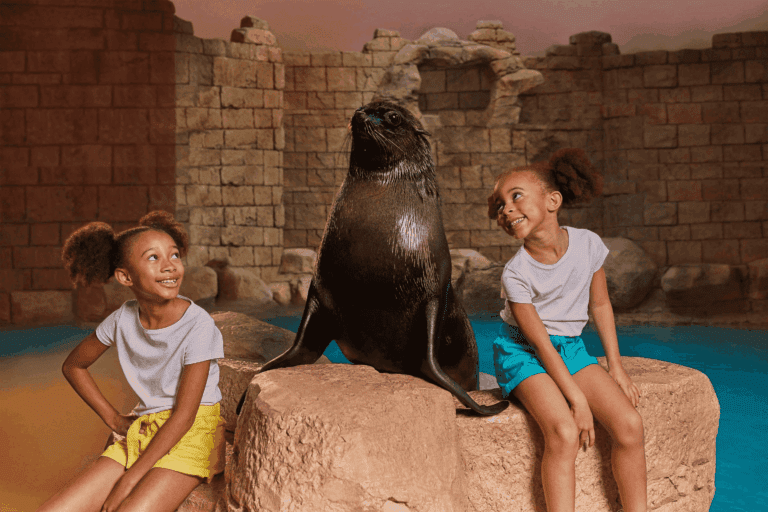 New-Sea-Lion-Meet-Greet-Image_M-min-min-min