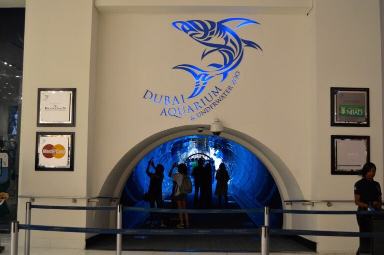 dubai-aquaruim-and-water-zoo-dubai_6