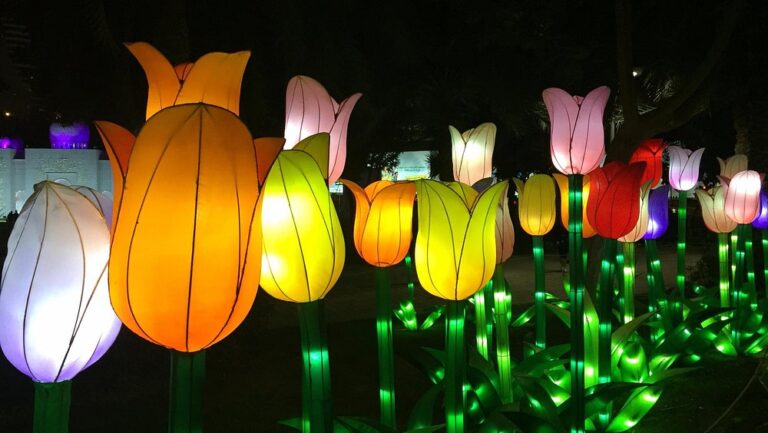 dubai-glow-garden-tulip