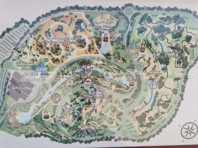 dubai-safari-park-dubai_9