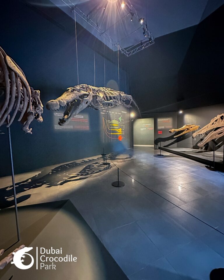 581337877_18537742942027972_7349228083283953221_n