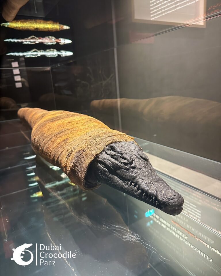 581529093_18537742921027972_4229955682767831893_n