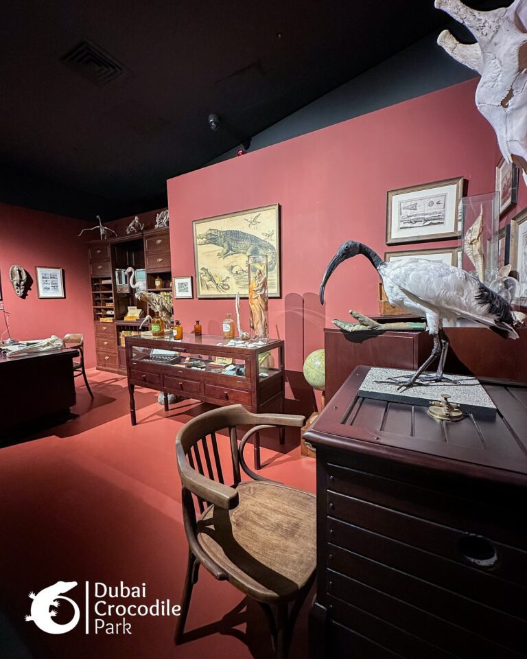 581685580_18537742933027972_4706720653677736491_n