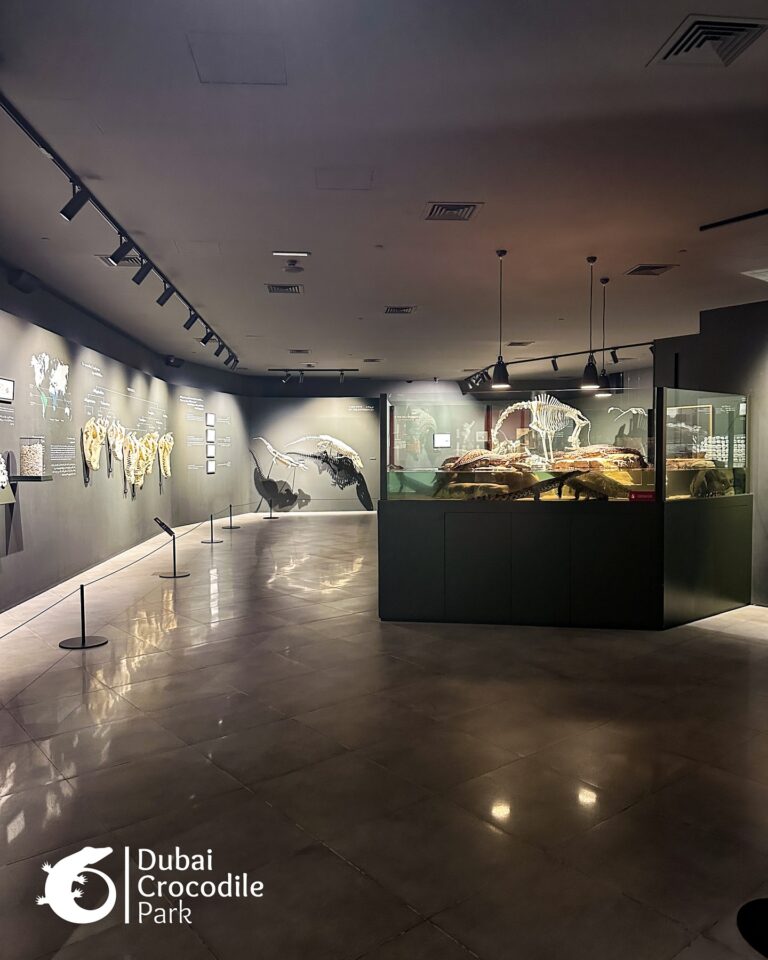 581693947_18537742960027972_8579295199199579761_n