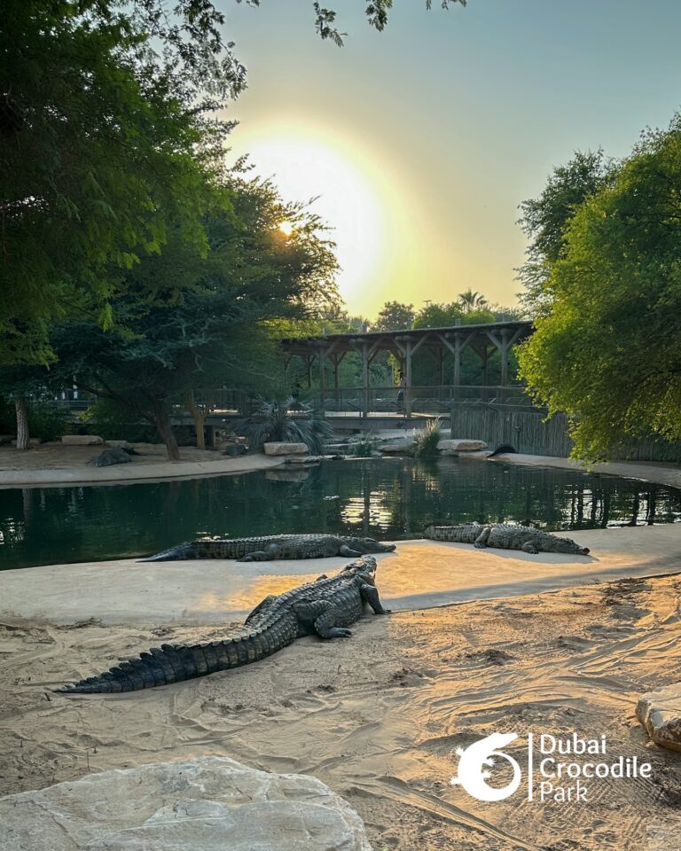 588046724_18539096395027972_1147309384860060311_n