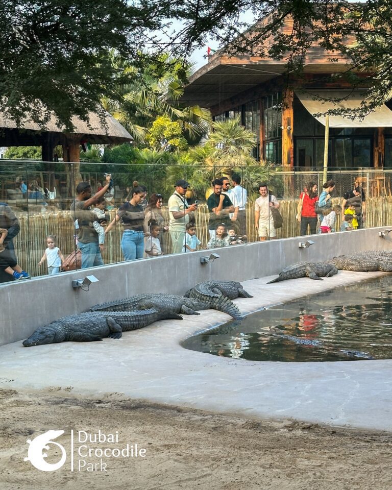 588222806_18540844231027972_8277481345204724460_n