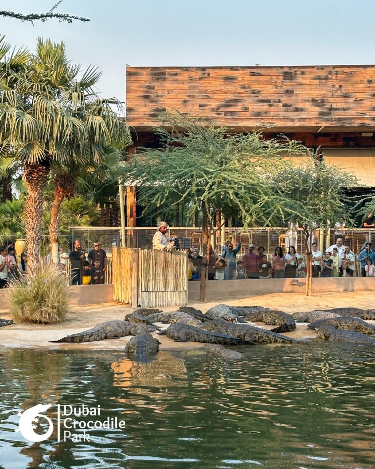 607640003_18545527714027972_6740776361514852797_n