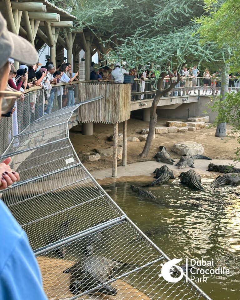 608088636_18545527723027972_2479887544934960735_n