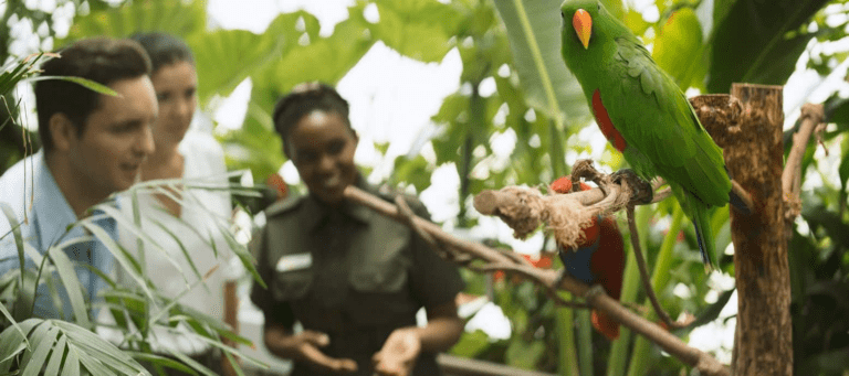 africa-summer-green-planet