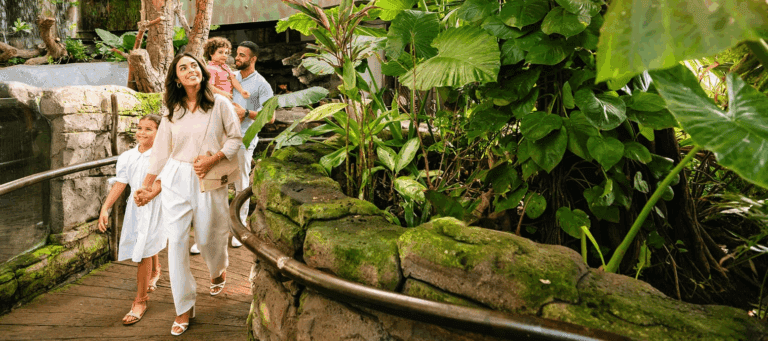 green-planet-dtcm-min